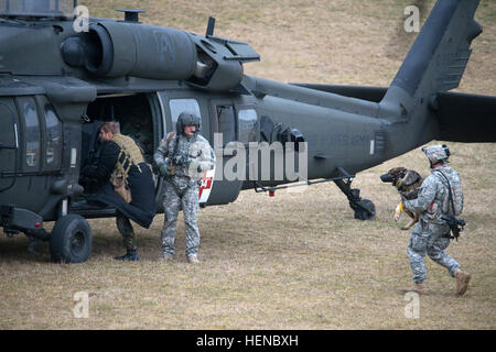 Ein UH-60 Black Hawk-Hubschrauber aus 5. Bataillon, 158. Aviation Regiment mit Simulationspatienten geladen ist, eine Rolle mit einer Wunde klettert an Bord wie ein Hundeführer trägt seine Gebrauchshund mit simulierten gebrochenen Bein in Richtung der Hubschrauber im allgemeinen Staufer Kaserne, Pfullendorf, Dinohausen Trainingsbereich warten für einen simulierten Unfall für die Evakuierung 19. Februar 2014 während der International Special Training Center geladen werden , ISTC, medizinische Erste Responder Aufbaukurs die von der ISTC Medical Branch vom 3. Februar 2014 durch 21. Februar 2014 durchgeführt wurde. Die multinationale Studenten fr Stockfoto