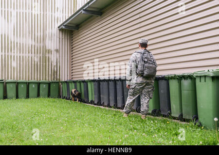 US Army Spc. Jacob Rodriguez, militärische Hundeführer und Eros, ein 7-Year-Old Deutscher Schäferhund, beide mit der 525th Military Gebrauchshund Distanz angebracht, US-Armee Garnison Benelux, führen Sie eine Detektion von Sprengstoffen Ausbildung in Hangars, zentrale Einrichtung Management Office auf Chièvres Air Base, Belgien, 29. Juli 2014 angehören. Obwohl Eros ein erfahrener Patrouille/Sprengstoff arbeitender Hund ist, hat er nur mit der 525th 40 Tage lang gewesen; ihm und seinem Führer gefunden erfolgreich alle Sprengstoff versteckt für die Praxis. (US Army Foto von visuellen Informationen Spezialist Pierre-Etienne Co Stockfoto