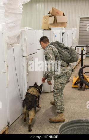 US Army Spc. Jacob Rodriguez, militärische Hundeführer und Eros, ein 7-Year-Old Deutscher Schäferhund, beide mit der 525th Military Gebrauchshund Distanz angebracht, US-Armee Garnison Benelux, führen Sie eine Detektion von Sprengstoffen Ausbildung in Hangars, zentrale Einrichtung Management Office auf Chièvres Air Base, Belgien, 29. Juli 2014 angehören. Obwohl Eros ein erfahrener Patrouille/Sprengstoff arbeitender Hund ist, hat er nur mit der 525th 40 Tage lang gewesen; ihm und seinem Führer gefunden erfolgreich alle Sprengstoff versteckt für die Praxis. (US Army Foto von visuellen Informationen Spezialist Pierre-Etienne Co Stockfoto