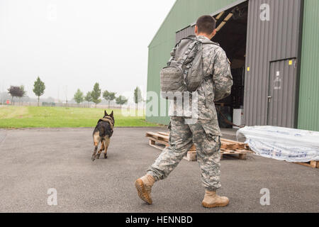 US Army Spc. Jacob Rodriguez, militärische Hundeführer und Eros, ein 7-Year-Old Deutscher Schäferhund, beide mit der 525th Military Gebrauchshund Distanz angebracht, US-Armee Garnison Benelux, führen Sie eine Detektion von Sprengstoffen Ausbildung in Hangars, zentrale Einrichtung Management Office auf Chièvres Air Base, Belgien, 29. Juli 2014 angehören. Obwohl Eros ein erfahrener Patrouille/Sprengstoff arbeitender Hund ist, hat er nur mit der 525th 40 Tage lang gewesen; ihm und seinem Führer gefunden erfolgreich alle Sprengstoff versteckt für die Praxis. (US Army Foto von visuellen Informationen Spezialist Pierre-Etienne Co Stockfoto