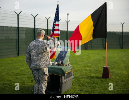 US Army Spc. Jacob Rodriguez, militärische Gebrauchshund (MWD) Handler mit 525th MWD Ablösung, 709th Military Police Battalion, 18. Military Police Brigade grüßt die leere Zwinger seines Hundes MWD Eros (M592) während der Gedenkfeier am Chièvres Air Base MWD Zwinger in Chièvres, Belgien, 31. Oktober 2014 statt. MWD Eros wurde drei Mal für die Operation Enduring Freedom, diente mehrere Gemeinden mit verschiedenen Missionen, einschließlich der Sicherheit für den Secretary Of State, Vizepräsident und Präsident der Vereinigten Staaten eingesetzt. MWD Eros wurde bestattet aufgrund systemischer Schock wegen zu undeter Stockfoto