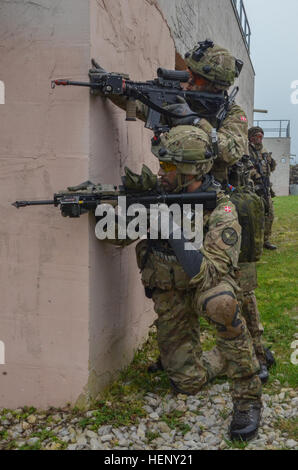 Königliche dänische Soldaten Alpha Company, 3. Aufklärungs-Bataillon Garde-Husaren-Regiment Suche nach Bedrohungen während der Durchführung Kordon und Suchaktionen während der Übung kombiniert zu beheben III bei der Joint Multinational Readiness Center in Hohenfels, Deutschland, 3. November 2014.  Kombinierte Lösung III ist eine multinationale Übung, die enthält mehr als 4.000 Teilnehmer aus NATO und Partner, und soll eine komplexe Trainingsszenario bieten, die konzentriert sich auf multinationale unified Land Operationen und das US-Engagement für NATO und Europa verstärkt. (US Armee-Foto von Pfc. Shardesia Stockfoto