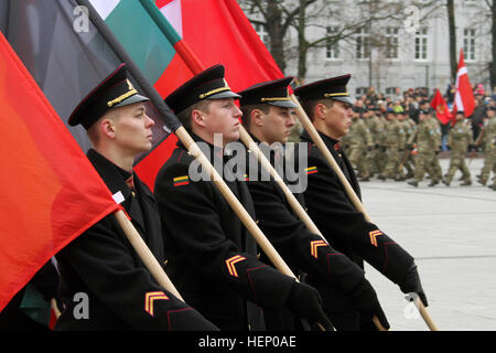 Litauische Ehrengarde Träger tragen die Flaggen der 28 NATO-Mitglieder 23 November in Domplatz, im Rahmen des litauischen Armed Forces Day Parade und Zeremonie. US-Soldaten aus der 1. Staffel, 2. Kavallerie-Regiment und die 1st Brigade Combat Team, 1. Kavallerie-Division, trat Dänisch, Ungarisch und litauischen Soldaten um die Ferien zu feiern. NATO-Flaggen-Ehrengarde 141123-A-WU248-014 Stockfoto