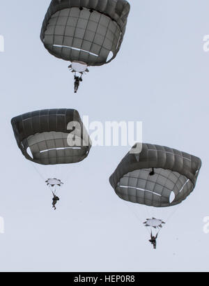 Fallschirmjäger füllen den Himmel auf Sizilien-Drop-Zone für die 17. jährliche Randy Oler Memorial Betrieb Spielzeug fallen, veranstaltet von der US-Armee zivile Angelegenheiten & psychologische Operations Command (Airborne), ein US Army Reserve Einsatzführungskommando, 5. Dezember 2014 in Fort Bragg, N.C. Betrieb Spielzeug Tropfen ist der weltweit größte Luft Mischbetrieb und Soldaten die Möglichkeit zu helfen, Kinder in Not überall Spielzeug für den Urlaub erhalten. (US Armee-Foto von Timothy L. Hale/freigegeben) Fallschirmjäger zurückgeben in Betrieb Spielzeug fallen 141205-A-XN107-204 Stockfoto