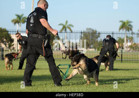 Polizisten mit der Homestead Polizei (k-9) Hundestaffel demonstrieren ihre Begleithunde Gehorsams und Schutz Übungen für Schülerinnen und Schüler 22 Januar während eines zweitägigen Mentoring im Rahmen des Special Operations Command South Military Assistance Program auf Homestead Air Reserve Base, Florida Das Programm oder SOCMAP wurde wie es allgemein bekannt ist, von SOCSOUTH in einer laufenden Anstrengungen zur Stärkung der Beziehungen mit den Bewohnern des Miami-Dade County gegründet. JROTC Kadetten bekommen einen Einblick in des militärischen Lebens 150122-A-KD443-001 Stockfoto