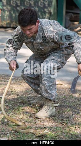 Ein Soldat der US-Armee zugewiesen 25. Infanterie-Division, fängt eine Kobra im Dschungel Training in Lop Buri, Thailand, Februar 10. Die Soldaten nahmen an der Ausbildung von der thailändischen Armee als eine Möglichkeit zur Stärkung der Partnerschaft zwischen den beiden Nationen unterrichtet. 25. ID führen thailändische Soldaten Feld und Dschungel training 150210-A-SE706-100 Stockfoto