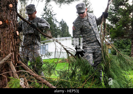 SPC. Daniel Quey (links), schneiden einige Äste von Bäumen auf dem Campus der Chloe Clark Elementary School in Dupont, Washington, als Bestandteil einer 17. Fires Brigade Gemeinschaft bewegt sich ein Radar-Werkstatt und Pfc. Michael Petersen (rechts), ein Generator-Mechaniker, beide Unternehmen D, 7. Infanterie-Division, 5. Bataillon, 5. Luft-Verteidigung-Artillerie, 17. Feldartillerie Brigade zugewiesen aufsuchende Unterstützung bei einer Grundschule Sicherheit Bereinigung 18. Februar. Die Soldaten aufgeräumt auch der Cherrydale Primary School Campus in Steilacoom, Washington JBLM Soldaten Hilfe aufräumen örtlichen Grundschule Campus 150218-A-UG106-014 Stockfoto