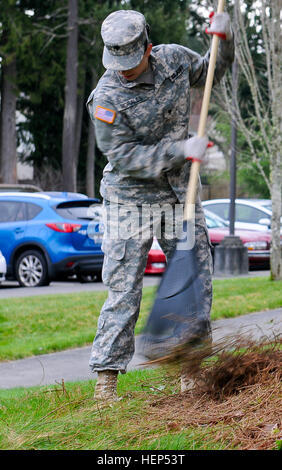 SPC. Megan Morales, Signal Unterstützungssysteme Spezialist zugewiesen, Hauptsitz und zentrale Bataillon, 5. Bataillon, 5. Luft-Verteidigung-Artillerie, 17. Feldartillerie Brigade der 7. Infanteriedivision, Rechen, kleine Äste eines vor kurzem gestutzten Baumes am Chloe Clark Elementary School Campus in Dupont, Washington, als Bestandteil einer 17. Fires Brigade Gemeinschaft aufsuchende Unterstützung bei einer Grundschule Sicherheit Bereinigung 18. Februar. Die Soldaten aufgeräumt auch der Cherrydale Primary School Campus in Steilacoom, Washington JBLM Soldaten Hilfe aufräumen örtlichen Grundschule Campus 150218-A-UG106-132 Stockfoto