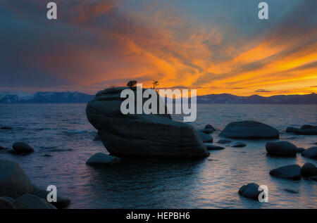 Bonsai-Rock in Lake Tahoe Stockfoto