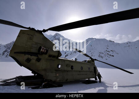 Ein Flieger aus D Company, 1. Bataillon, 52. Aviation Regiment steht vor einer CH-47F Chinook-Hubschrauber am Kahiltna Gletscher Basislager am Mount McKinley im Schatten des Mount Hunter 13.965-Fuß 27. April 2015. Soldaten und Chinooks aus D/1-52d "Zucker-Bären" machten kurzen Prozess liefern mehrere tausend Pfund Ausrüstung lagern bei 7.000 und 14.000 Fuß für die Klettersaison 2015 basieren, sparen Zeit und Geld für die National Park Service und Betrieb in Höhenlagen und unschätzbare Erfahrungen im Gelände nicht verfügbar für Trainingsmissionen außerhalb Alaskas. (Armee Foto/John Stockfoto