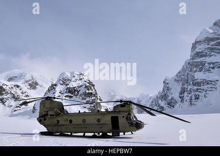 Eine CH-47F Chinook-Hubschrauber aus D Company, 1. Bataillon, sitzt 52. Aviation Regiment am Kahiltna Gletscher 27. April 2015, im niedrigen Basislager 7.000 Fuß für Kletterer versuchen bis zum Gipfel des Mount McKinley. Soldaten und Chinooks aus D/1-52d "Zucker-Bären" machten kurzen Prozess liefern mehrere tausend Pfund Ausrüstung lagern bei 7.000 und 14.000 Fuß für die Klettersaison 2015 basieren, sparen Zeit und Geld für die National Park Service und Betrieb in Höhenlagen und unschätzbare Erfahrungen im Gelände nicht verfügbar für Trainingsmissionen außerhalb Alaskas. (Armee Foto/John Pennell) Suga Stockfoto