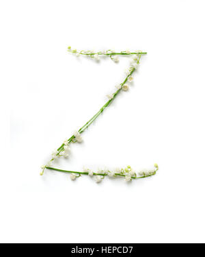 Englische Buchstaben Z im Alphabet der Blumen Glocken. Kalligraphie-Schriftzug Stockfoto