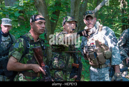Mitglieder des 528th Licht Reconnaissance Battalion der rumänische Land-Kraft und der 1. Staffel, 131. Kavallerie, Alabama Army National Guard, durchführen eine Aufklärungsmission Fugenbereich während Übung Red Dragon am 13. Juni 2015, in Babadag, Rumänien. Red Dragon ist eine Übung durchgeführt zwischen der 131. Kavallerie, Alabama-Nationalgarde und der 528th Light Reconnaissance Battalion, rumänische Land-Kraft, in dem Bemühen, engere Beziehungen zwischen amerikanischen und rumänischen Truppen zu bauen. (Foto von Spc. William Frye) Der Alabama National Guard trainiert mit Rumänen 150613-A-OK577-586 Stockfoto