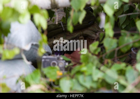 Vereinigte Staaten Armee CPL Zachary Lubbers, gebürtig aus Louisville, Kentucky, zugewiesene Team Adler, Task Force 2-7 Infanterie als Infanterist, sucht nach Ziele aus seinem Erdloch in multinationale Ausbildung bei den großen litauischen Hetman Jonusas Radvila Training Regiment, 17. Juni 2015. Säbel-Strike ist eine langjährige US-Army in Europa führte kooperative Übung. Das diesjährige Übung Ziele erleichtern die Zusammenarbeit unter den U.S., Estland, Lettland, Litauen und Polen, gemeinsame Einsatzfähigkeit in einer Reihe von Missionen sowie die Vorbereitung der teilnehmenden Nationen und Einheiten t zu verbessern Stockfoto