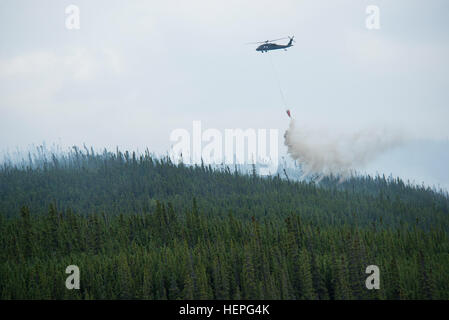 Diesen Sommer wurde voll von Waldbränden in ganz Alaska. Zahlreiche Feuerwehr-Teams haben aus den unteren Vereinigten Staaten im Kampf helfen aufgerufen wurde. Eines der Teams, die im Kampf beigetreten ist ein lokales Team, der Alaska Army National Guard. Mit zwei UH-60 Black Hawk-Hubschrauber und Bambi-Eimer, haben die Alaska Army National Guard Teams Brandbekämpfung Missionen in Abstimmung mit dem Bureau of Land Management, Feuerwehren, Sitz in Fort Wainwright, Alaska durchführen. Am Freitag, dem 26. Juni flog das Team ihre Flugzeuge bis Tok, Alaska, zur Unterstützung bei der Bekämpfung von ein paar großen f Stockfoto
