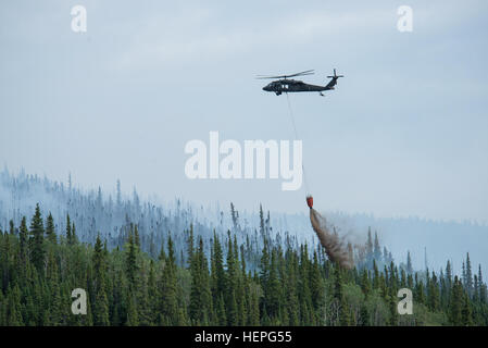 Diesen Sommer wurde voll von Waldbränden in ganz Alaska. Zahlreiche Feuerwehr-Teams haben aus den unteren Vereinigten Staaten im Kampf helfen aufgerufen wurde. Eines der Teams, die im Kampf beigetreten ist ein lokales Team, der Alaska Army National Guard. Mit zwei UH-60 Black Hawk-Hubschrauber und Bambi-Eimer, haben die Alaska Army National Guard Teams Brandbekämpfung Missionen in Abstimmung mit dem Bureau of Land Management, Feuerwehren, Sitz in Fort Wainwright, Alaska durchführen. Am Freitag, dem 26. Juni flog das Team ihre Flugzeuge bis Tok, Alaska, zur Unterstützung bei der Bekämpfung von ein paar großen f Stockfoto
