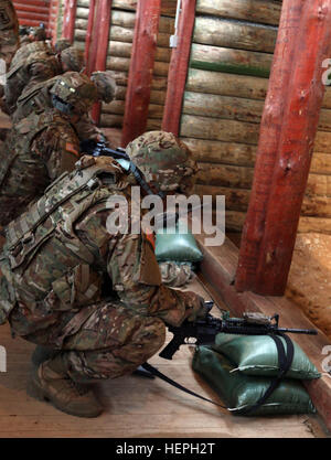 Soldaten mit bestimmt Company, 2. Bataillon, 503. Infanterieregiment 173rd Airborne Brigade bereiten auf Null und qualifizieren ihre Waffen auf einer Palette, Tapa Armeebasis, Estland, 8 Juli, im Rahmen der Operation Atlantic zu beheben.  Weiterbildung ermöglicht die NATO-Staaten, sich gegen alle Bedrohungen zu verteidigen, und zeigt, dass die Allianz bereit bleibt, sich überall zu jeder Zeit zu verteidigen. (US-Armee Fotos von Spc. Jacqueline Dowland, 13. Public Affairs-Abteilung) Waffen-Qualifikation in Estland 150708-A-VD071-005 Stockfoto