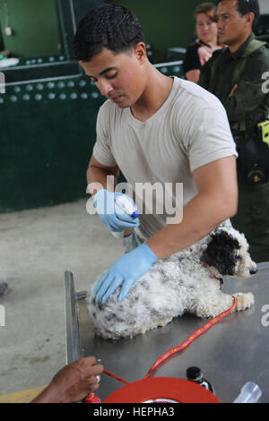 150712-A-BK746-118 BUENAVENTURA, Kolumbien (12. Juli 2015) Pfc. Ramon Reyes, gebürtig aus Orlando, Florida, einen Hund mit Flohmarkt, die Armee 10. Gebirgsdivision, Fort Polk, Louisiana, Sprays zugewiesen und abweisend Zecke an einem Tierarzt-Standort am Eufermeria Canina Del Grupo Antiexplosnos Urbano während der anhaltenden Versprechen 2015 gegründet. Weiterhin verspricht ein US Southern Command gesponsert und US Marine Kräfte südlichen Spezialoperationen. 4. Flotte durchgeführt Bereitstellung, zivil-militärische Operationen einschließlich zivile und humanitäre Hilfe, Thema Experten-Austausch, Medizin, dental, Veterinär- und Ingenieur Stockfoto