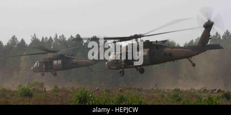 US-Armeesoldaten zugewiesen Dog Company, 4. US-Infanteriedivision, 1. Bataillon, 503. Infanterieregiment, 173. Infantry Brigade Combat Team (Airborne) sichern eine Landezone als zwei UH - 60M Black Hawk Hubschrauber von B Company betrieben, 43. Angriff Hubschrauber-Bataillon, 3. Kavallerie-Regiment, 3. US-Infanteriedivision wegfliegen nach Abwurf der Soldaten während des Trainings Ulhan Fury derzeit an der allgemeinen Silvestras Zlikaliskas Training statt , Pabrade, Litauen, 12. August 2015. Ulhan Fury ist eine bilaterale militärische Übung mit litauischen Land Forces Soldaten, 2. Coy, Grand zugewiesen Stockfoto