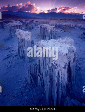 Mono Lake Kalifornien Stockfoto