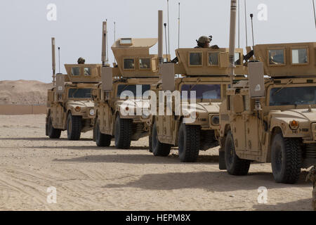 Soldaten mit 1. Bataillon, 18. Infanterie-Regiment Line-up ihre Humvees vor einem Fahrzeug Gunnery trainieren Sie im Camp Buehring, Kuwait, am 16. November. Die Gunnery zielt darauf ab, die einzelnen Mannschaften auf ihre primäre Waffensysteme der M240 und die M2 50-Kaliber Maschinengewehre zu qualifizieren. (US Armee-Foto von Sgt. Youtoy Martin, 19. Public Affairs Abteilung USARCENT Public Affairs) Fahrzeug Gunnery schärft Letalität 151116-A-DP082-003 Stockfoto