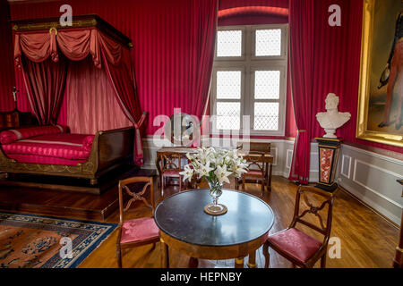 SCHLOSS VON AMBOISE, AMBOISE, FRANKREICH - CA. JUNI 2014 Stockfoto