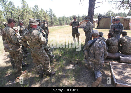 US-Armeesoldaten von der Illinois Army National Guard, 1244th Transportation Company, Großbritannien Soldaten aus den 154. schottische Regiment, Royal Logistic Corps und führt das dänische Heimwehr nach Klage überprüfen Sie nach Abschluss der Ausbildung im Westen Camp Rapid, S.D., 16. Juni 2016. Die goldenen Coyote-Übung ist eine dreiphasige, Szenario-driven Übung durchgeführt in den Black Hills von South Dakota und Wyoming, die Kommandeure auf wesentliche Aufgabe Missionsanforderungen, Krieger Aufgaben und Schlacht Übungen konzentrieren zu können. (Foto: U.S. Army Zakia Gray /Released Spc.) Urban Patrol Tr Stockfoto