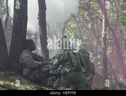 Zwei US-Armee-Reserve-Soldaten eilen die Hilfe eines "verletzten" Soldaten wie ein simulierter Mörtel in einem komplexen Angriff während Combat Support Training Übung 86-16-03 (CSTX 86-16-03) auf Fort McCoy, Wisconsin, USA, 22. August 2016 erlischt. Fast 9.000 Service-Mitglieder aus über dem Land beteiligt sind in CSTX 86-16-03 86. Training Division und dem 84. Training Command dritte und letzte CSTX des Jahres veranstaltet. (US Army Reserve Foto von Sgt. 1. Klasse Clinton Holz). Komplexe Angriff 160822-A-HX393-002 Stockfoto