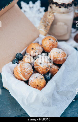Schachtel mit Blaubeer-muffins Stockfoto