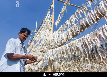 Chittagong: Fisch Rack Trockengestelle im Hafen, Fischer, Fischen, Division Chittagong, Bangladesch Stockfoto