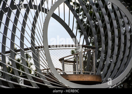 Suche-Nest Stockfoto