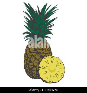 tropischen Bio Ananas Stock Vektor