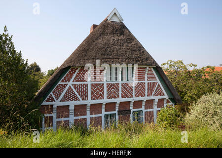 Reetdachhaus, Fachwerkhaus, Steinkirchen, Altes Land, Niedersachsen, Deutschland Stockfoto