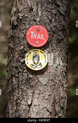 Trail-Markierung an einem Baum in der St. Regis Canoe Area von Adirondack State Park, New York. Stockfoto