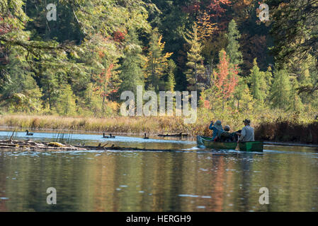 Kanada Gänse und Kanuten, Adirondack State Park, New York. Stockfoto