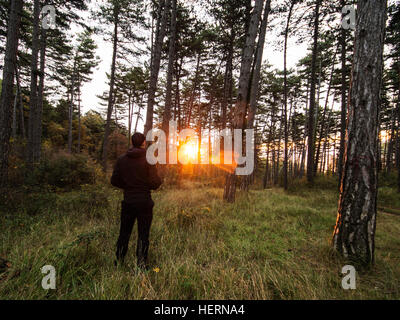 Mann im Wald bei Sonnenaufgang, Navarra, Spanien Stockfoto