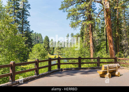 Aussichtspunkt am Oberlauf des Flusses Metolius. Metolius River, einem Nebenfluss des Deschutes River in Oregon, ist einzigartig in platzen aus dem gr Stockfoto