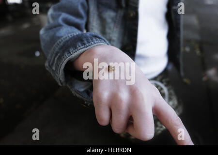 Marienkäfer krabbeln auf eines Mädchens hand Stockfoto