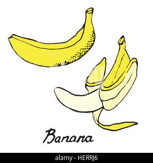 Banane und geschnittenen Stück, hand gezeichnete Doodle, skizzieren im Pop-Art-Stil, Vektor Stock Vektor