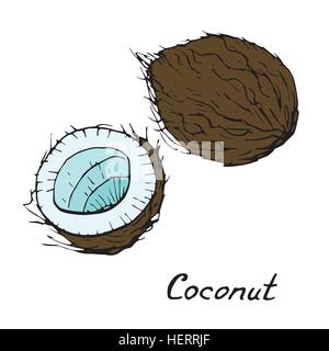 Kokosnuss und geschnittenen Stück, hand gezeichnete Doodle, skizzieren im Pop-Art-Stil, Vektor Stock Vektor