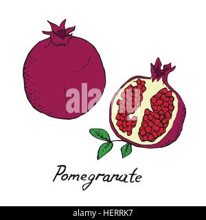 Granatapfel und geschnittenen Stück, hand gezeichnete Doodle, skizzieren im Pop-Art-Stil, Vektor Stock Vektor