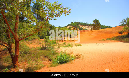 Ockerfarbenen Klippen in Rustrel in Rustrel, Colorado Provencal, Provence, Frankreich Stockfoto