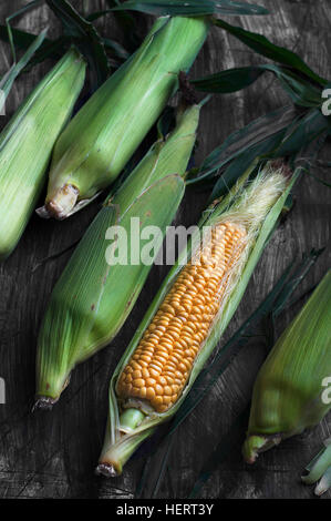 Frische Maiskolben Stockfoto