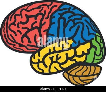Isolierte abstrakt bunt Gehirn Logo. Menschlichen zerebrale Hemisphäre auf weißem Hintergrund Logo. Stock Vektor