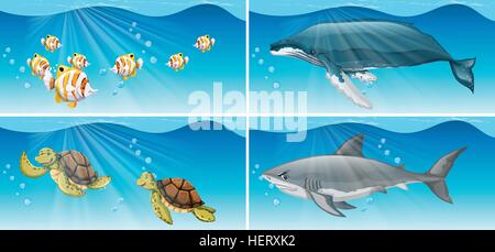 Unterwasser-Aufnahmen mit Meer Tiere illustration Stock Vektor