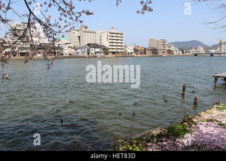 Ufer eines Flusses in Matsue (Japan). Stockfoto