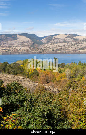 Columbia River Gorge von Oregon Seite des Flusses Stockfoto