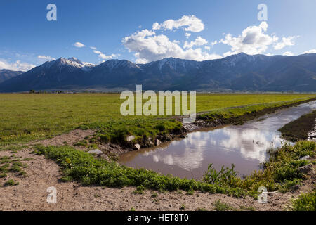 Bewässerung Graben im Carson Valley, Nevada Stockfoto