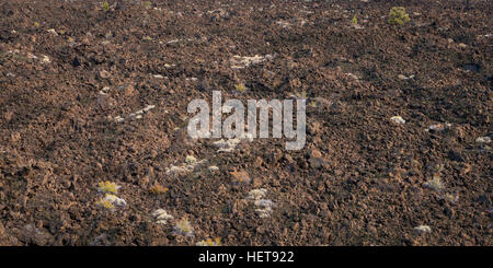 Ein Feld von Lava im Lava-Betten-Nationalpark Stockfoto