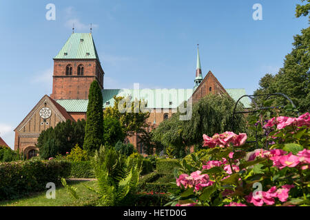 Ratzeburg romanische Kathedrale, Ratzeburg, Herzogtum Lauenburg, Schleswig-Holstein, Deutschland Stockfoto